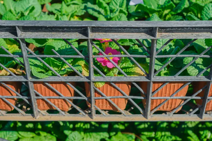 Cerca de herrería para jardín y espacio exterior